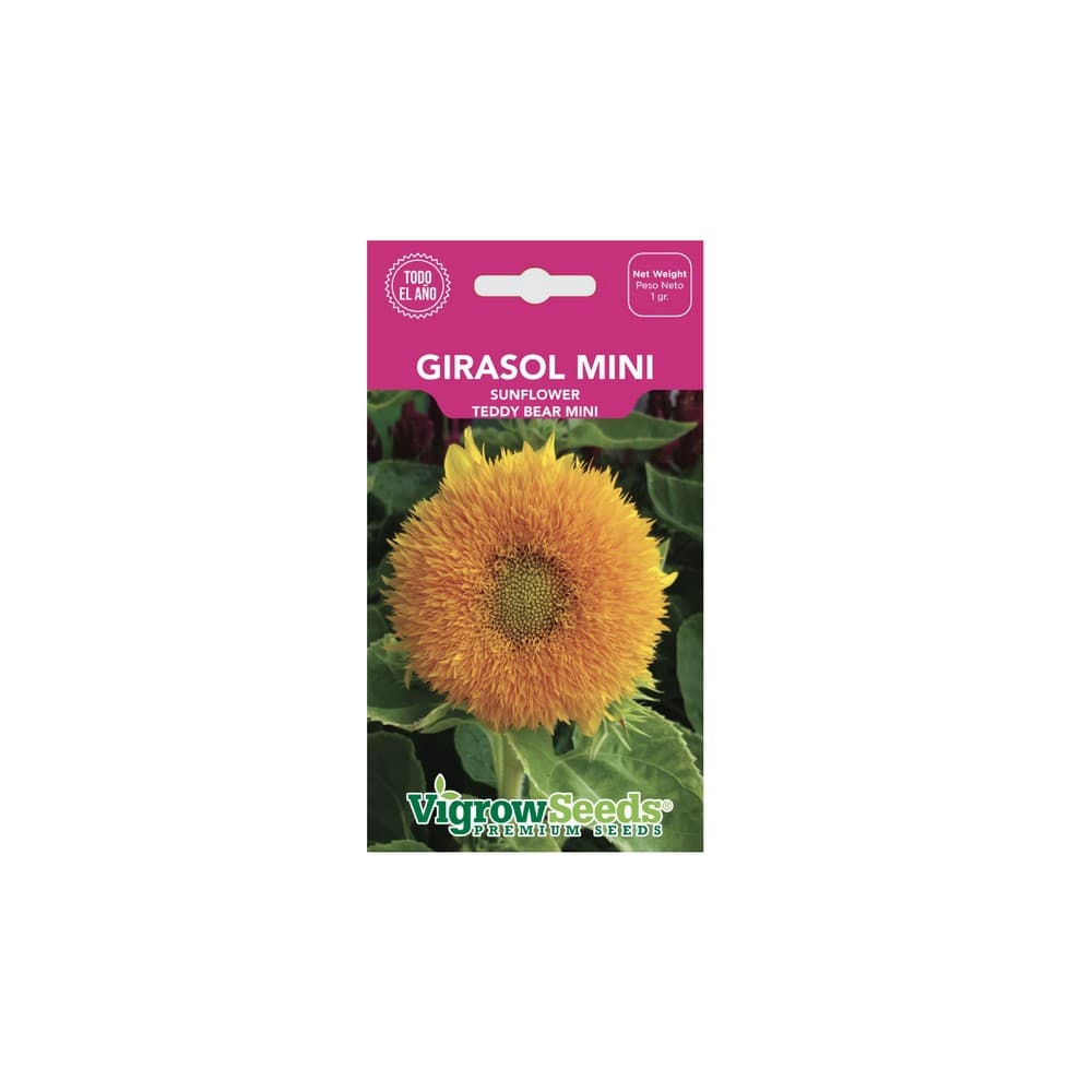 Semilla de girasol mini