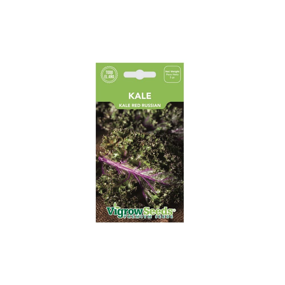 Semilla de kale