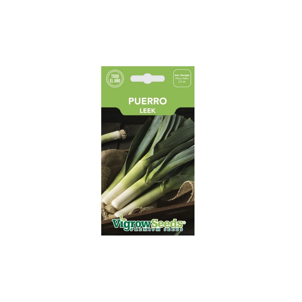 Semilla de puerro