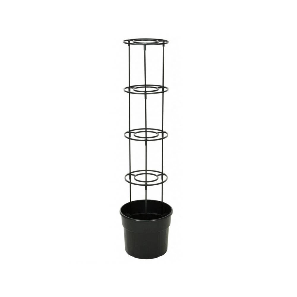 Maceta plástica para plantas de tomate