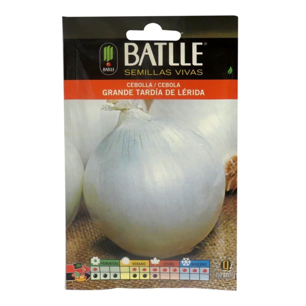 Semilla de cebolla grande